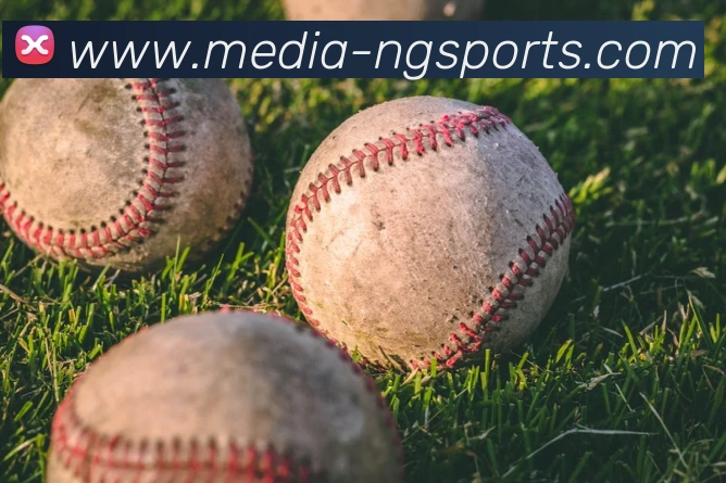 体育下注品牌故事